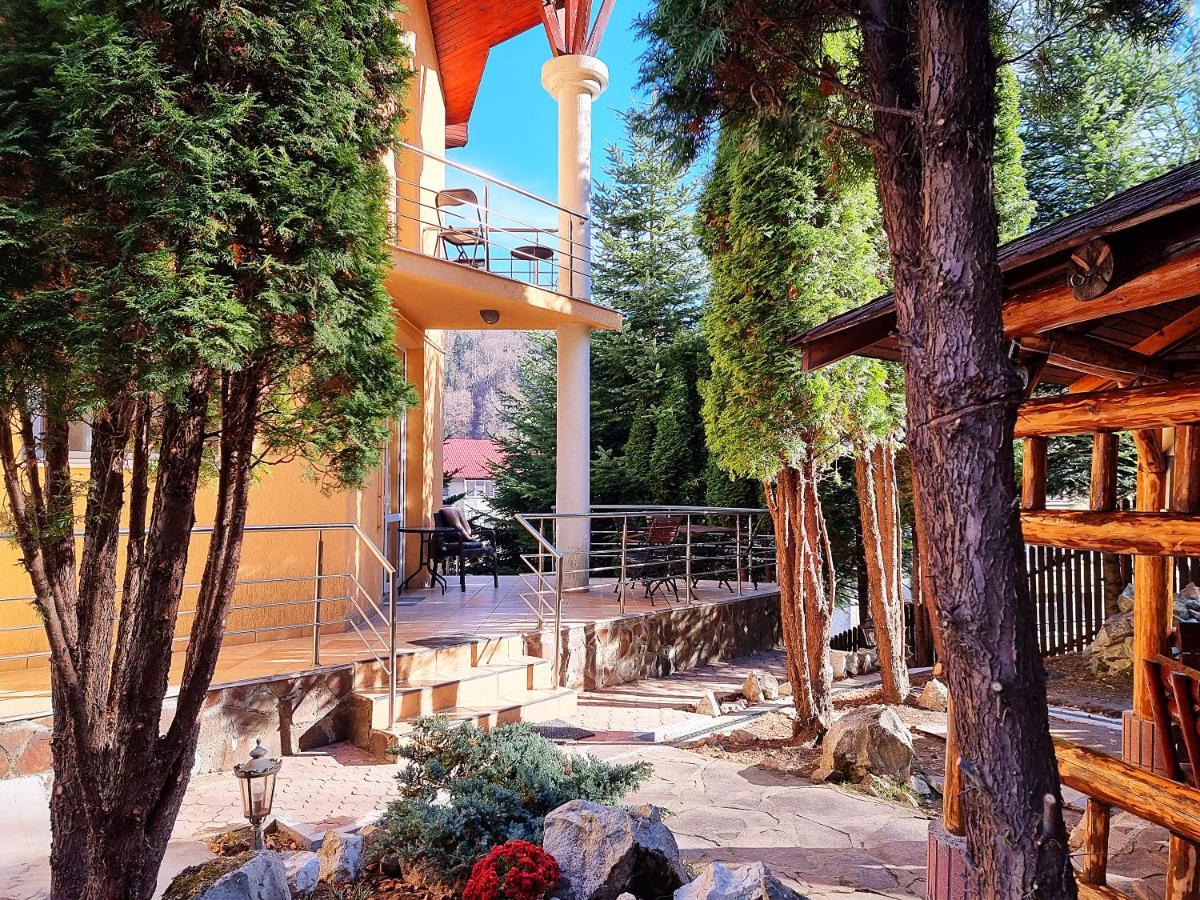 Marble Villa: Luxury Estate - Central But Intimate Sinaia Exteriör bild